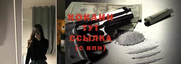 крисы Армянск