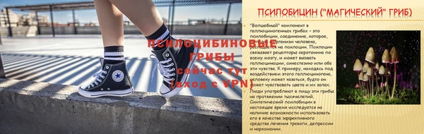 крисы Армянск