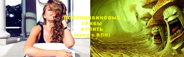 крисы Армянск