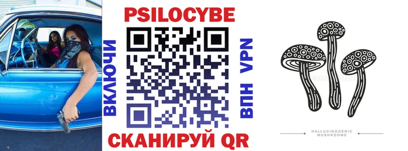 Галлюциногенные грибы мухоморы  где можно купить наркотик  Жиздра 